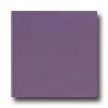 Interceramic Interceramic Colours 8 X 8 Purple Plum Tile  &  Stone