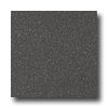 Armstrong Armstrong Medintech Homogeneous Black Granite Vinyl Flooring
