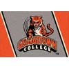Milliken Milliken Georgetown College 3 X 4 Georgetown College Area Rugs