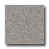 Santa Regina Santa Regina Architectural 16 X 16 (polished) Buff Terrazzo Tile