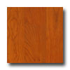 Mannington Mannington Value Lock Bennington Cherry Autumn Laminate Flooring