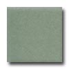 Daltile Daltile Keystones Permabrites Mosaic 2 X 2 Gloss Cypress Tile  &
