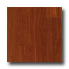 Armstrong Armstrong Global Exotics 6 1 / 2 Santos Mahogany Hardwood Flooring