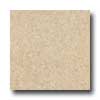 Armstrong Armstrong Cushionstep Best - Universal Porcelain Vinyl Flooring