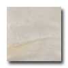 Italgres Italgres Calgary 13 X 13 Gris Tile  &  Stone