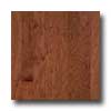 Bruce Bruce Turlington Lock  &  Fold Hickory 3 Wild Cherry / brandywine Ha