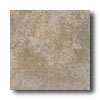 Daltile Daltile Alta Vista 12 X 12 Drift Wood Tile  &  Stone