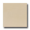 Daltile Daltile Kimona Silk 24 X 24 Rice Paper Tile  &  Stone
