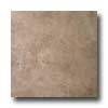 Italgres Italgres Scabos 20 X 20 Noce Tile  &  Stone