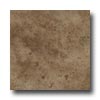 Mohawk Mohawk Primabella 12 X 12 Espresso Tile  &  Stone