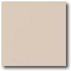 Daltile Daltile Porcealto (unpolished) 18 X 18 Bianco Tile  &  Stone