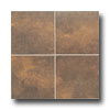 Mohawk Mohawk San Rocco 13 X 13 Sienna Tile  &  Stone