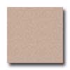 Congoleum Congoleum Ultima - Pebble Creek Multi Stoned Terra Cotta Vinyl F