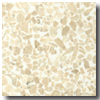 Fritztile Fritztile Classic Terrazo Cln600 3 / 16 Persian Cream Wm Tile  &  St