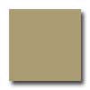 Daltile Daltile Design Porcelain Unpolished 4 X 4 Dolomite Tile  &  Stone
