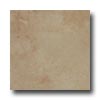 Mohawk Mohawk Mirador 20 X 20 Brown Pearl Tile  &  Stone
