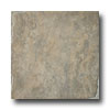 Emser Tile Emser Tile Natural 18 X 18 Copper Tile  &  Stone