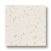 Daltile Daltile Keystones Unglazed Mosaic Penny Round Pepper White / white