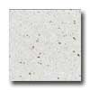 Santa Regina Santa Regina Designer 16 X 16 (natural) Salmon Fleck Terrazzo Ti
