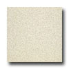 Armstrong Armstrong Medintech Tandem Inlaid Almond Vinyl Flooring