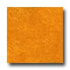 Forbo Forbo Marmoleum Click Tile Golden Sunset Vinyl Flooring
