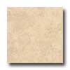 Armstrong Armstrong Tusk 12 X 12 Tusk Beige Tile  &  Stone