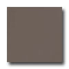 Armstrong Armstrong Mode - Solids Chocolicious Brown Vinyl Flooring