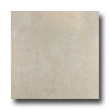 Italgres Italgres Bari 10 X 13 Bone Tile  &  Stone