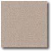 Daltile Daltile Porcealto (unpolished) 12 X 12 Grigio Granite (graniti)