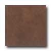 Daltile Daltile Veranda 13 X 13 Rectified Rawhide Tile  &  Stone