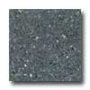Santa Regina Santa Regina Architectural 24 X 24 (polished) Charcoal Terrazzo