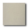 American Olean American Olean Terra Paver Unpolished 8 X 8 Naturale Tile  &  Ston