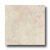 Daltile Daltile Brixton 18 X 18 Bone Tile  &  Stone