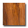 Stepco Stepco Exotics Solid Unfinished 4 Tigerwood Hardwood Flooring