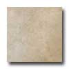 Metroflor Metroflor Tru-tile Collection - Riveria Manarola Vinyl Flooring