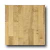Robbins Robbins Urban Exotics Collection Strip Beech 2 1 / 4 Natural Hardw