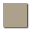 American Olean American Olean Quarry Tile Abrasive 6 X 6 Fawn Gray Tile  &  Stone