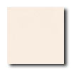 Crossville Crossville Cross-colors A 12 X 12 Polished Empress White Tile  &