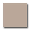 Armstrong Armstrong Feature Tile Taupe Vinyl Flooring