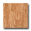 Tarkett Tarkett Style Brite Nt - Oakmont 12 Spice Vinyl Flooring