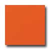 Daltile Daltile Liners Flat 1 / 2 X 6 Orange Burst Tile  &  Stone