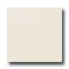 Daltile Daltile Modern Dimensions 2 1 / 8 X 8 1 / 2 Biscuit Tile  &  Stone