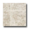 Tarkett Tarkett Preference Plus Nt - Mountain Side 6 Graystone Vinyl Flo