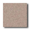 Crossville Crossville Cross-plus 8 X 8 Stonehenge Tile  &  Stone