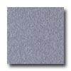 Armstrong Armstrong Excelon Imperial Texture Blueberry Vinyl Flooring