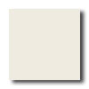 American Olean American Olean Terra Paver Unpolished 8 X 8 Cameo Tile  &  Stone