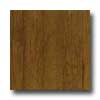 Anderson Anderson Dellamano Biscotti Hardwood Flooring
