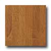Harris-Tarkett Harris-tarkett Artisan Profiles Hickory Honeytone Hardwood Floor