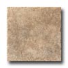 American Florim American Florim Navajo 12 X 12 Sienna Tile  &  Stone