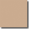 Daltile Daltile Liners Round 1 / 2 X 6 Mexican Sand Tile  &  Stone